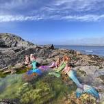 The Mermazing Mermaid Meet Up 2026