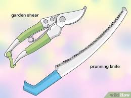 Maybe you would like to learn more about one of these? 3 Ways To Know What Gardening Tools You Need Wikihow
