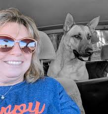 How to address a German Shepherd's aggressive behavior?