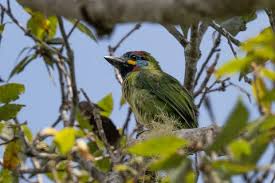 Ba'kelalan--Bario Road, Sarawak, Malaysia