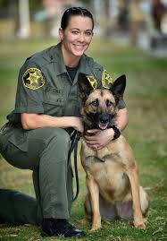 Orange County Sheriff S Department K9 Mercy Helps Keep Jails Free Of Contraband Police Dogs Military Dogs Military Working Dogs