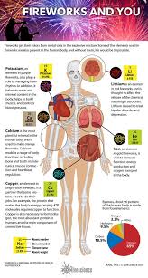 How Elements In Fireworks Make The Human Body Work Infographic Human Body Minerals For The Body Fireworks