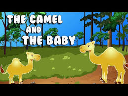 Here are some of the best short bedtime animal stories for kids. The Camel And The Baby Youtube