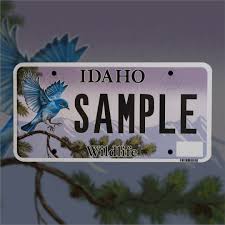 Image result for Federal Yellow 1956 Idaho State of