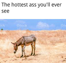 Looking for the hottest new porn: Definitely The Hottest Ass I Ve Ever Seen Memes