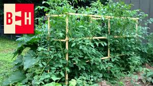 There are 262 tomato stakes for sale on etsy, and they cost 16,25 $ on average. Diy Wood Tomato Cages Youtube