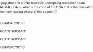 In transcription of dna into rna, only one dna strand (the negative strand) acts as template. Dna Questions Practice Biomolecules Khan Academy