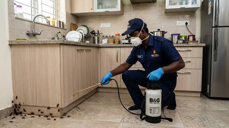 Fraser Road residential corridor pest technician applying micro-dust in roof space