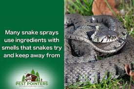 The garage is the prime spot where snakes enter, so fix and repair any. Yes There Are Sprays To Repel Snakes And These Are The Best Pest Pointers Tips For At Home Pest Control