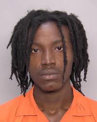 Chesapeake man pleads guilty to first-degree murder, firearms charges in  connection with HRT bus shooting