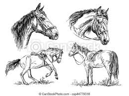 Leer deze olifant tekenen in stappen. Paarden Tekening