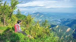 Bach Ma National Park travel guide - Getting there & What to do