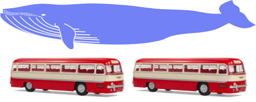 A visual size comparison showing a blue whale measuring over two double-decker buses in length, do AI tạo
