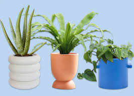 20% coupon applied at checkout. 23 Affordable Indoor Planters We Love Architectural Digest