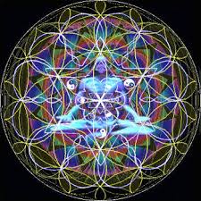 Image result for matrix flower