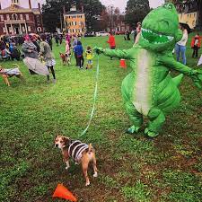 Diy Toy Story Slinky Dog Costume Ideas Tutorial Maskerix Com Toy Story Slinky Toy Story Costumes Diy Dog Costumes