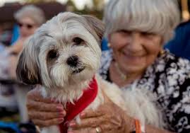 Milford P&Z Updating Some Land Use Regs Orange Has Uptick In Bear Sightings  Primaries Coming In August