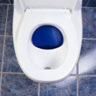 Trenntoilette Trenntoiletten Separett Villa 9000 Komfortable Trockentrenntoilette Komposttoilette Gartentoilette Komposttoilette Gartentoilette Kompost
