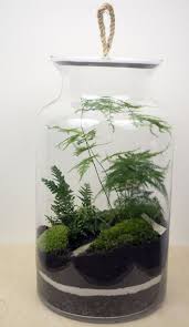 40 Inspiring Bonsai Terrarium Jars Design Ideas To Try Terrarium Jar Garden Terrarium Bottle Garden