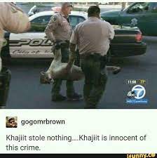 Khajiit Stole Nothing Khajiit Is Innocent Of This Crime Skyrim Funny Funny Gaming Memes Skyrim Memes