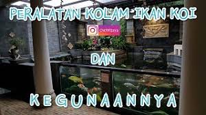 Kami juga menyedikan kolam terpal untuk budidaya lele, gurame, nila, patin, mas dan ikan tawar lainnya. Peralatan Kolam Koi Dan Kegunaannya Kolam Koi Dan Aksesoris Pelengkapnya Youtube