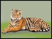 How to draw a tiger face? How To Draw Cartoon Tigers Realistic Tigers Drawing Tutorials Drawing How To Draw Tigers Drawing Lessons Step By Step Techniques For Cartoons Illustrations