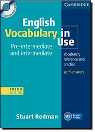 English Vocabulary In Use Pre Intermediate And Intermediate Third Edition English Vocabulary In Use Pre Intermediate Intermediate Stuart Redman Cambridge University Press 20 Vocabulario En Ingles Vocabulario Gramatica Inglesa