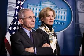 Birx, Fauci: America's chief health science communicators | Modern  Healthcare