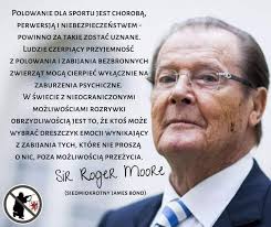 Kolejny zabity wilk. 100 metrów od ambony myśliwskiej. Tym razem w Sudetach  koło Wolimierza (nadleśnictwo Świeradów Zdrój). Dopiero po sekcji będzie na  pewno wiadomo, czy zginął od kuli (pod uwagę brane są