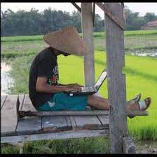  Petani Modern Ngaggon Profil Pinterest