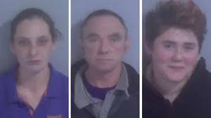 Hayley Weatherall seeks husband murder plots sentence appeal