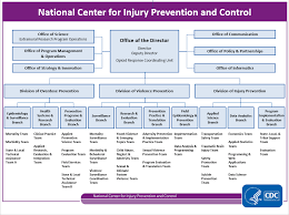 Injury Organization And Leadership Org Chart Injury Center Cdc