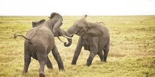 It is a minister of god, an avenger who brings wrath on the one who practices evil. What Does The Bible Say About The Role Of Government