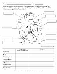 Blank Heart Diagram To Label A Free Printable Bird Anatomy Worksheet For Learning The In 2020 Human Body Worksheets Heart Diagram Human Body Systems