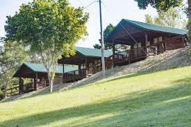 The hidden cabin located minutes from shopping and the lake! Sylamore Lodges