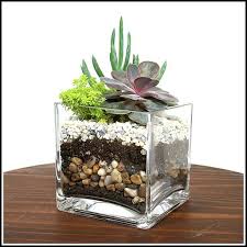 Easy Methods To Garden Similar To A Pro Simple Garden Ideas Succulent Garden Indoor Succulent Garden Diy Terrariums Kits