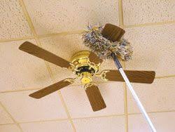 Ceiling Fan Cleaning Brushes Are A Good Piece Of Equipment To Make Use Of To Completely Clean Fan Rotor Blades Cleaning Ceiling Fans Ceiling Fan Cleaning