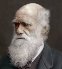 Escuela Latinoamericana de Evolución (@elaevo_oficial)