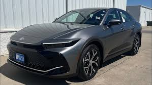 Image result for Black 2024 Crown