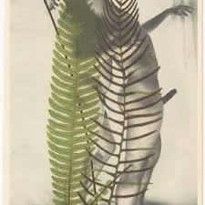 Bildergebnis für Robert Flynt