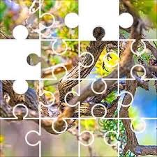 Show how they create their jigsaw puzzles using a ribbon cut grid . Pin On Jigsaw Puzzles