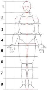 Sempre Sulle Proporzioni Corpo Umano Disegno Di Anatomia Come Disegnare