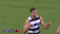 Log in to save gifs you like, get a customized gif feed, or follow interesting gif creators. Geelong Cats Gifs Get The Best Gif On Giphy