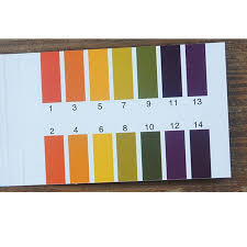 Urijk Ph 1 14 Tester Paper Full Range 80 Strips Universal Indicator Paper Litmus Testing Paper Urine Health Saliva Water