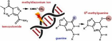 Image result for Alkylating Agent