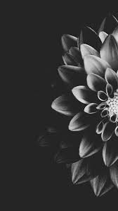 Check spelling or type a new query. Viii Weil Manchmal Nur Kleine Menge Dunkelheit Um Ebenfalls Die Ruine Momen Guru Meinmodus Com Dunkle Blumen Dark Flower Blumentapete