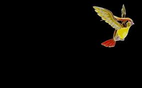 See our whole selection perfect for improving the environment. Free Download Minimalistic Birds Fractalius Black Background 1920x1200 420x262 For Your Desktop Mobile Tablet Explore 94 Pidgeot Hd Wallpapers Pidgeot Hd Wallpapers Hd Wallpaper Hd Pic Hd Wallpaper Hd Free