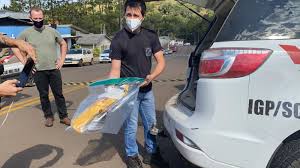 País se mobiliza em solidariedade. Gwu Whyvplgeym