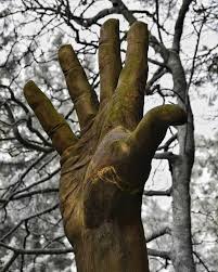 Fast shipping and orders $35+ ship free. Sculptor Turns Storm Damaged Tree Into 50 Foot Hand Ie