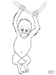 Baby Orangutan Coloring Page From Orangutans Category Select From 26977 Printable Crafts Farm Animal Coloring Pages Animal Coloring Pages Zebra Coloring Pages